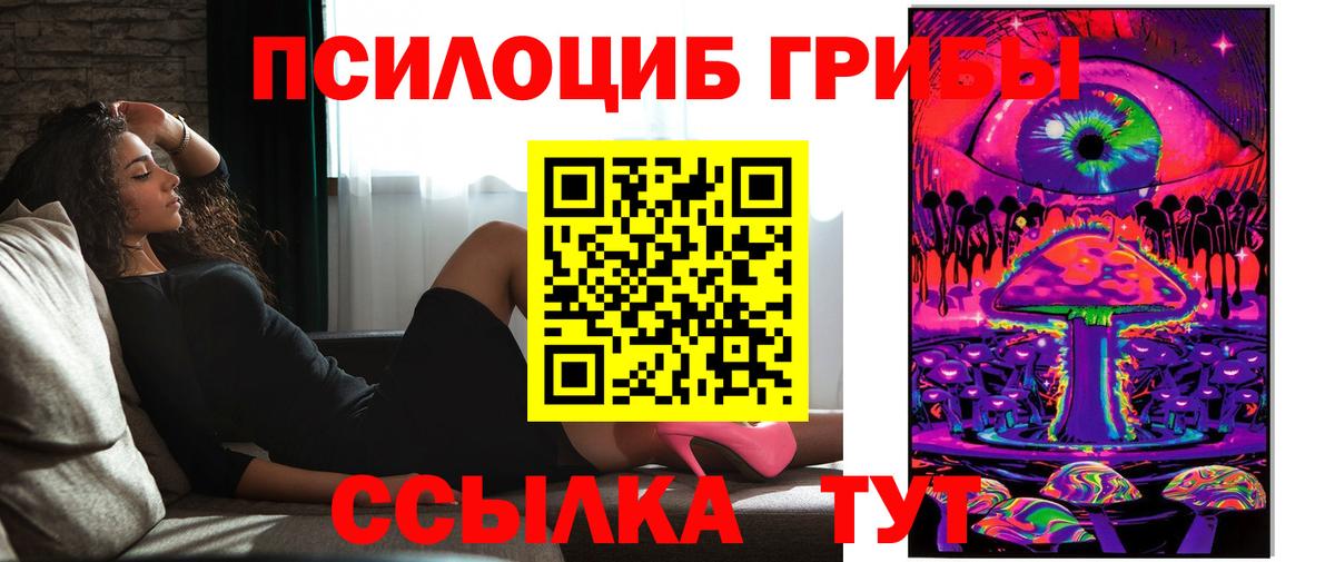 Галлюциногенные грибы Cubensis Белгород