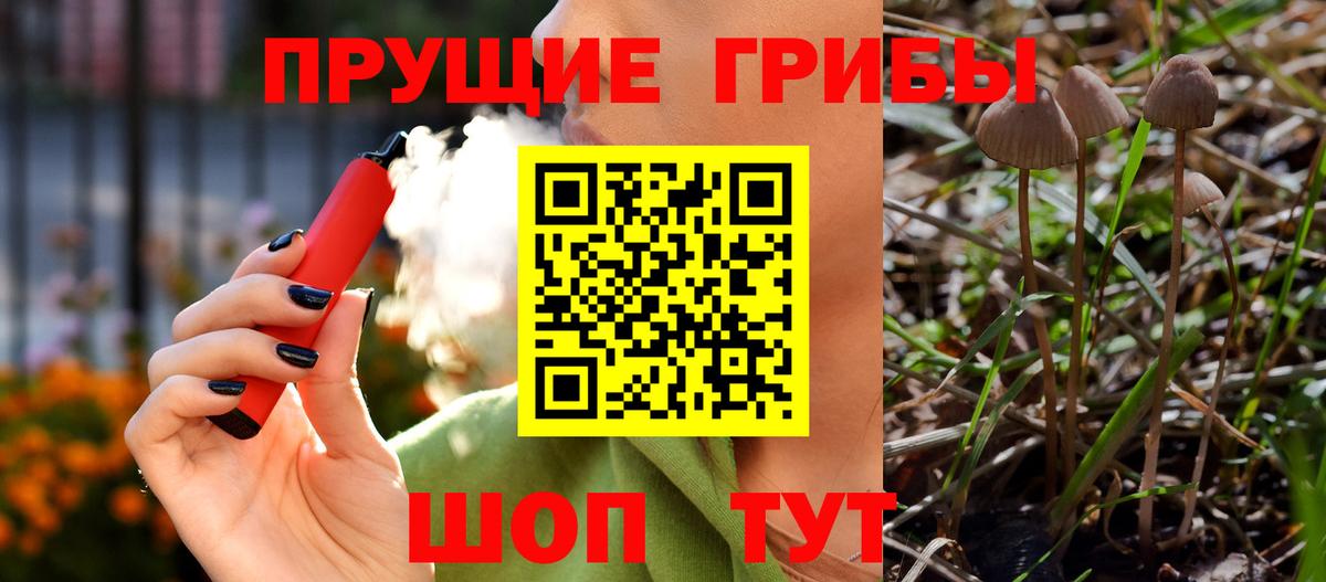 Псилоцибиновые грибы GOLDEN TEACHER  Вход с VPN  Галлюциногенные грибы Psilocybine cubensis  Белгород 